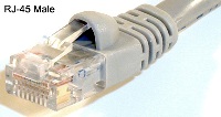 RJ-45 Male